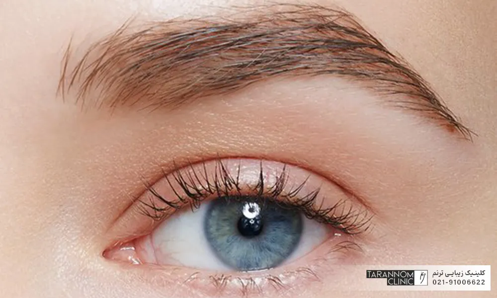 عکس چشم چپ دختر جوان با ابروی با تراکم بالا